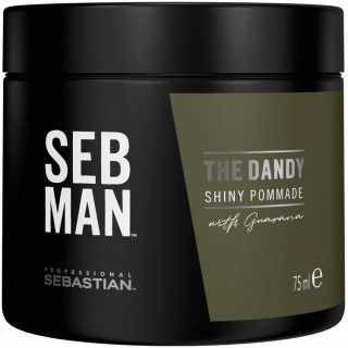 Sebastian Professional Seb Man The Dandy pomade