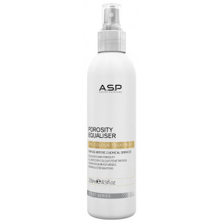 A.S.P Expert Haircare Porosity Equalizer sprejs